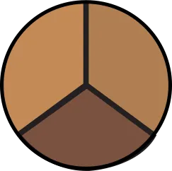 Concealer Trio