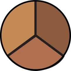 Concealer Trio