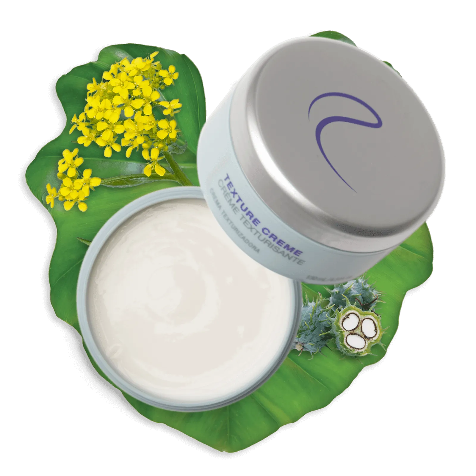 Texture Crème - Core Collection